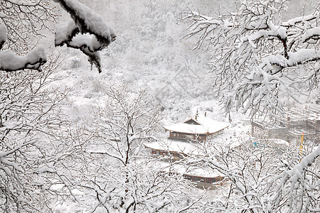 中国广隆的大雪图片