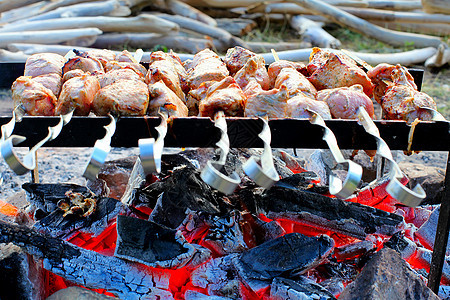 烧烤辉光煤炭派对晴天营火野餐绿色牛扒烹饪猪肉图片