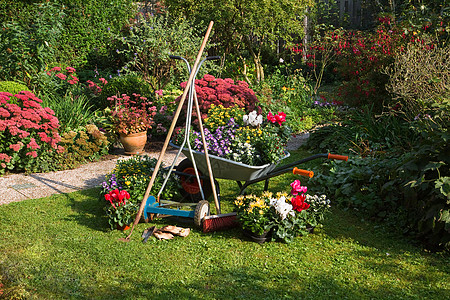 轮车 草机 花园设备夏园园丁活动仙客工具打扫菊花阴影修剪院子图片