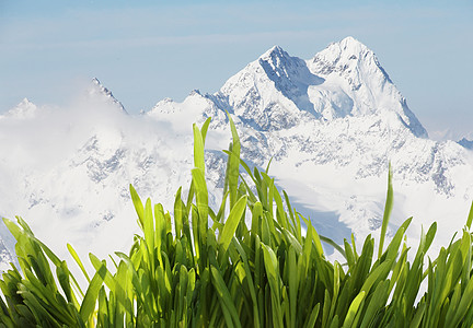 山里的春草天空旅行牧歌冰川生态环境石头岩石阳光风景图片