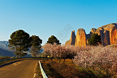 山区公路缠绕沥青种植园岩石荒野曲线干旱悬崖地质学花园图片