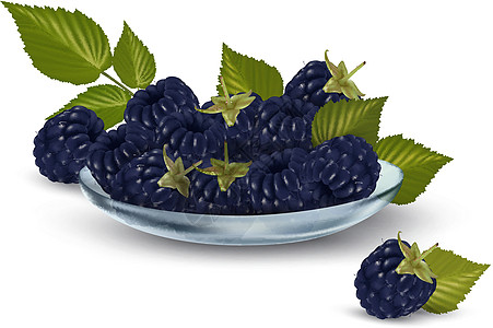 玻璃碗里有叶子的新鲜黑莓 矢量插图水果食物饮食团体工作室浆果甜点盘子营养宏观图片