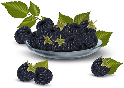 玻璃碗里有叶子的新鲜黑莓 矢量插图团体浆果食物饮食甜点水果宏观盘子营养工作室图片