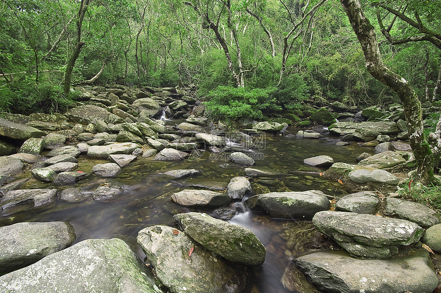 通过森林的连串水流岩石绿色时间失效苔藓溪流延时瀑布日志落叶图片