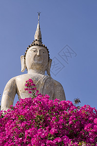 大佛像智慧精神蓝色旅行天空冥想佛教徒宗教文化建筑学图片