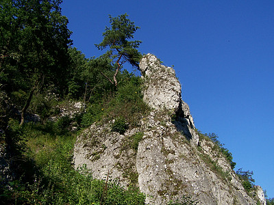 岩石旅行风景松树荒野运动季节高山小路天空石头图片