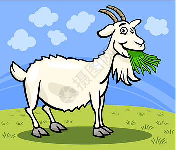 山羊农场动物漫画插图牧场草图绘画家畜天空场景快乐草地乡村胡须图片