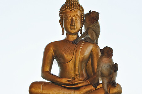 佛佛形象幸福旅游寺庙佛像建筑自由艺术建筑学旅行图片