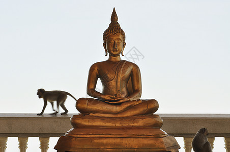 buddha 图像旅游旅行建筑艺术建筑学寺庙幸福佛像自由图片