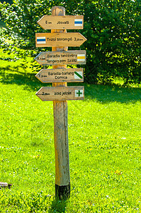 木质板路指引方向木板木头绿色旅行旅游展示图片