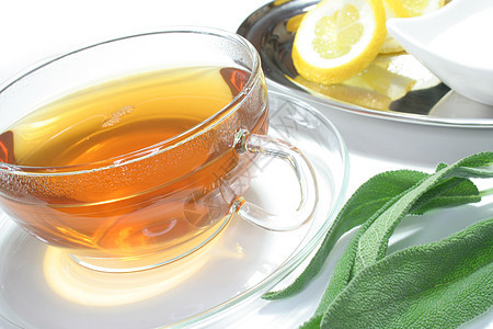 红茶茶杯茶器消炎药酿造香料叶子防御维生素神经系统图片
