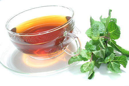 薄荷茶香料花草维生素防御草本植物绿色薄荷叶子酿造茶杯图片