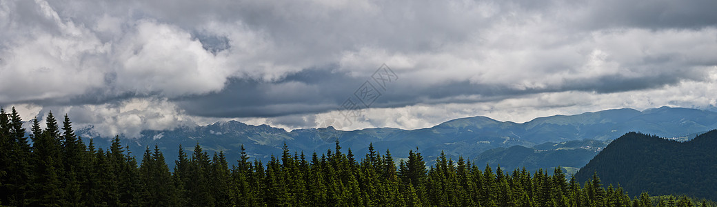 喀尔巴阡山脉的全景背景 美丽的山区和土地森林天空爬坡远足地平线风景旅行场景顶峰国家图片