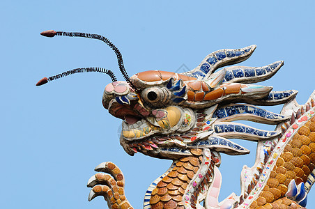 屋顶顶的龙 维特南上帝精神旅游艺术建筑文化双胞胎寺庙眼睛天堂图片