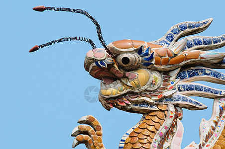 屋顶顶的龙 维特南花园双胞胎蚂蚁历史建筑学天空旅游寺庙精神旅行图片