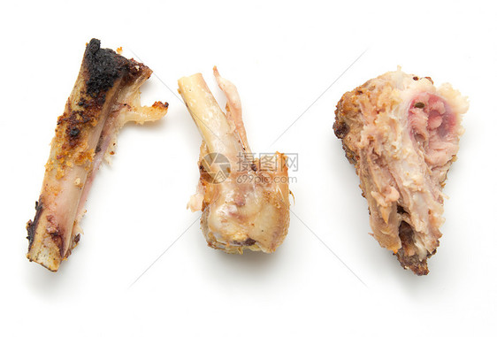 鸡的骨头被咬断报酬食物肋骨宠物宏观剩菜火腿羊肉营养剩饭图片
