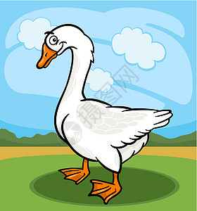 鹅鸟养鸡禽动物漫画插图图片