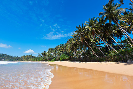 依德利海滩 斯里兰卡孤独晴天海滩天堂风景天空热带丛林海浪假期图片