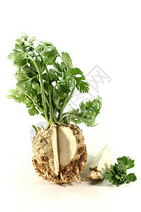 切菜食物青菜市场蔬菜白色根茎类作物叶子芳香绿色图片