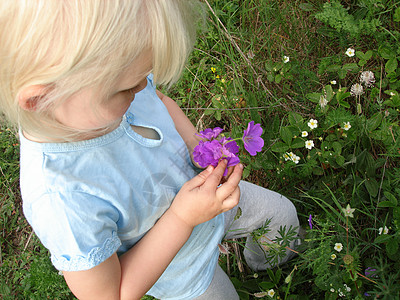 采摘花朵的扫描性生命小女孩图片