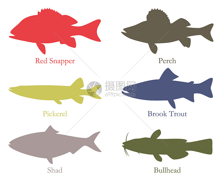 北美食鱼钓鱼动物野生动物栖息鲥鱼牛头人海鲜插图鲷鱼游戏图片
