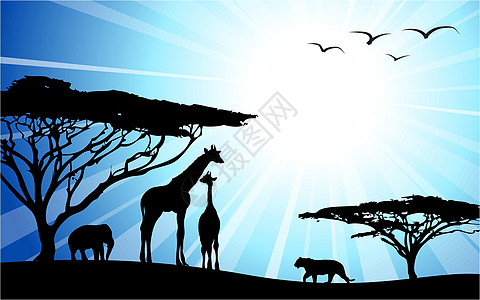 非洲远洋     休游衬套公园阳光场景场地动物荒野旅游游客地平线图片