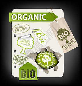 一组生物 生态 有机元素市场叶子电子商务食物标签产品丝带贴纸角落包装图片