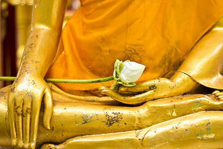 佛像中的莲花佛教徒宗教冥想黄色寺庙上帝手指艺术精神文化图片