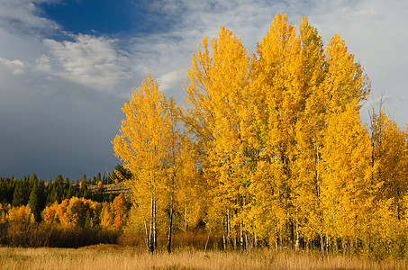 美国怀俄明州 大泰顿国家公园 秋天的山和云图片