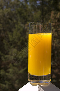 在阳光和阿宝中洗澡的玻璃杯里 鲜橙汁图片