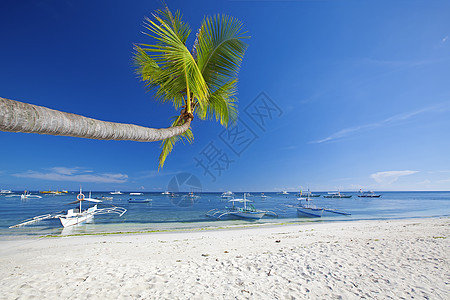 波霍尔邦蓬劳岛蓝色海岸线海浪旅行棕榈处女环礁海景海洋图片