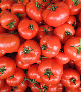 红番茄背景季节蔬菜美食食物农业团体养分红色水果购物图片
