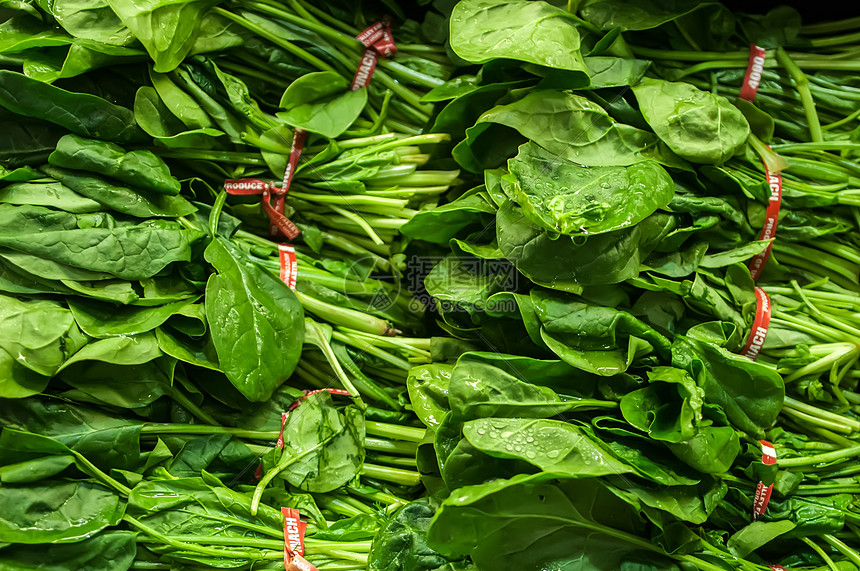 新鲜绿色树叶菠菜图片