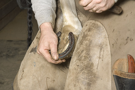 骑马鞋的Farrier马蹄铁安装工艺铁匠皮革工匠指甲工具小袋围裙图片