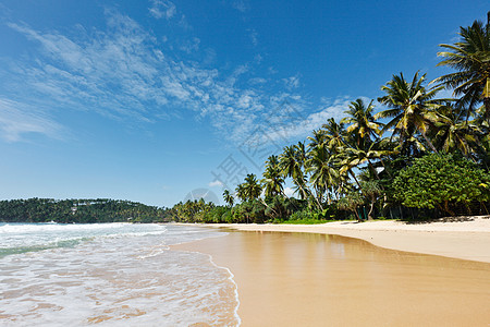 依德利海滩 斯里兰卡晴天蓝色假期海浪棕榈海洋热带丛林海岸地平线图片