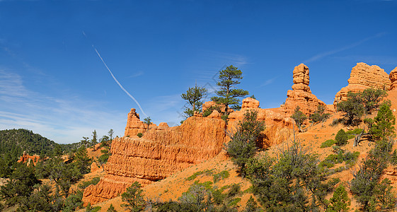 犹他州锡达裂间红岩形成山脉绿树峡谷高地风化分层风景沙漠爬坡砂岩图片