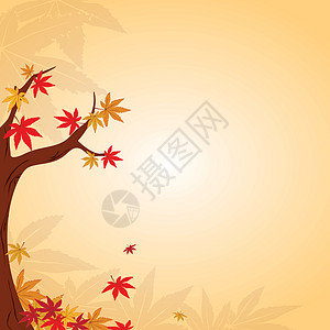 秋季请假背景摘要问候卡片橙子棕色黄色植物季节插图季节性叶子背景图片