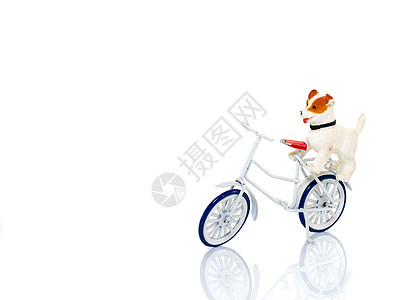 白色自行车上的玩具狗图片