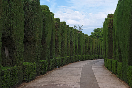 在著名的Alhambra花园的弯曲通道蓝色花园树木公园吸引力旅游历史树篱小路墙壁图片