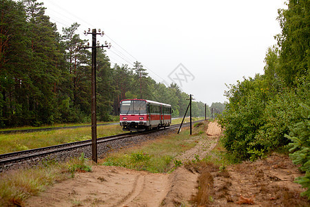 穿越森林的铁路客车车辆火车水平乘客运输日光旅游摄影柴油机风景图片