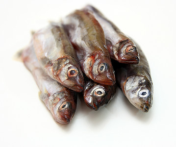 Capelin鱼在白色背景上被孤立钓鱼居住尾巴营养荒野冷血眼睛食物海洋海鲜图片