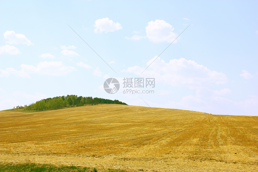 黄色字段和蓝色天空风景土地生长谷物燕麦稻草草地阳光太阳城市图片