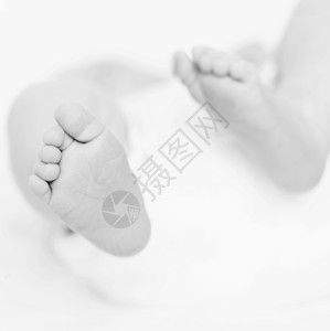 婴儿宝宝苗圃医疗卫生粮食灰色粒状新生幼儿孩子生活图片
