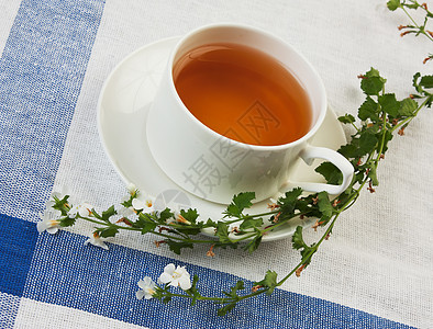 上午茶茶饮料食物树叶草本植物美食食品休息玻璃陶器液体图片