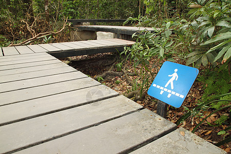 林中带有木木木木板路的步行标志图片