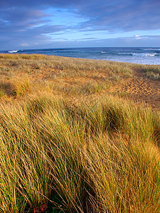 澳大利亚Warnanbool海滩天空旅行环境海浪风景海岸绿地海洋盎司冲浪图片