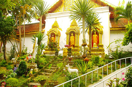 在渡道苏瑟普寺庙的花园里植物寺庙图片