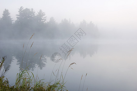雾池塘反射天空薄雾日出镜子图片