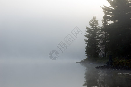 上午池塘云杉薄雾反射天空镜子日出图片