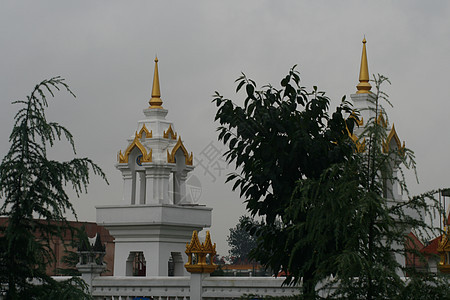 白马神庙的金色屋顶图片